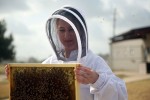 Travis County Jail inmate participate in a beekeeping class in 2014.